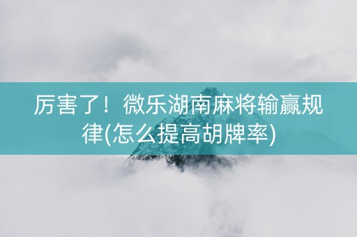 厉害了！微乐湖南麻将输赢规律(怎么提高胡牌率)