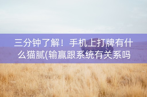 三分钟了解！手机上打牌有什么猫腻(输赢跟系统有关系吗)